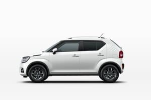 ignis2